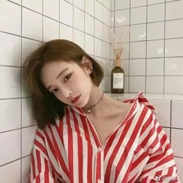 森林